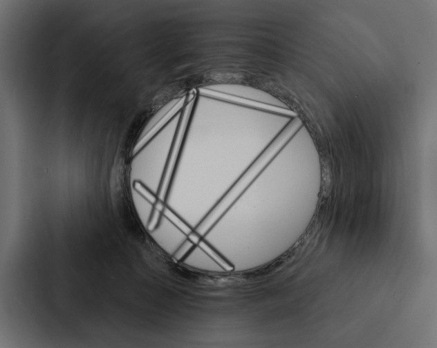 X0000087040323200705160935