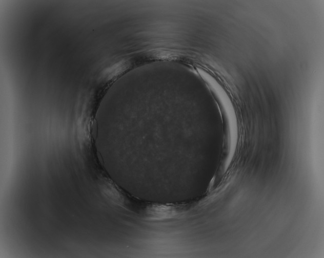 X0000087040325200705160935