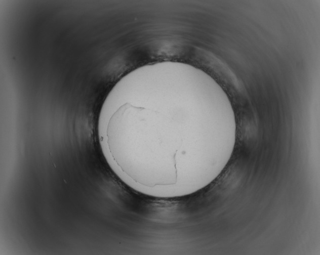 X0000087040328200705160935