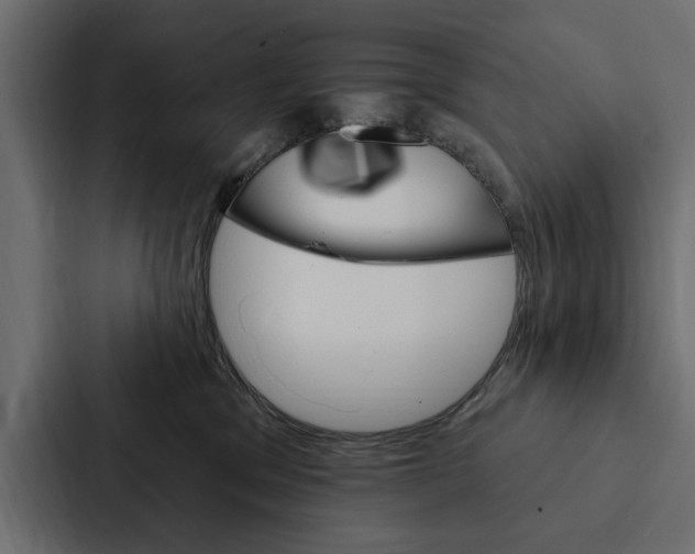 X0000087040329200705160935