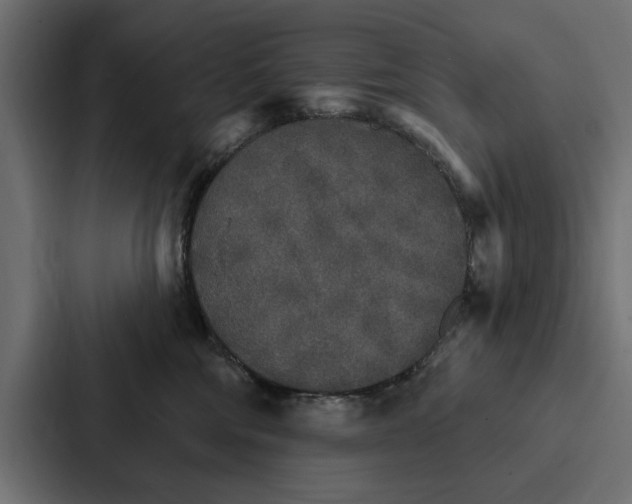 X0000087040330200705160935