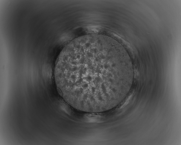 X0000087040331200705160935