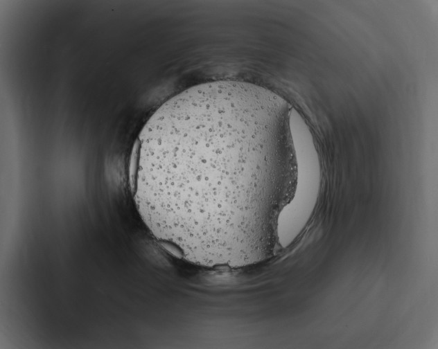 X0000087040335200705160935