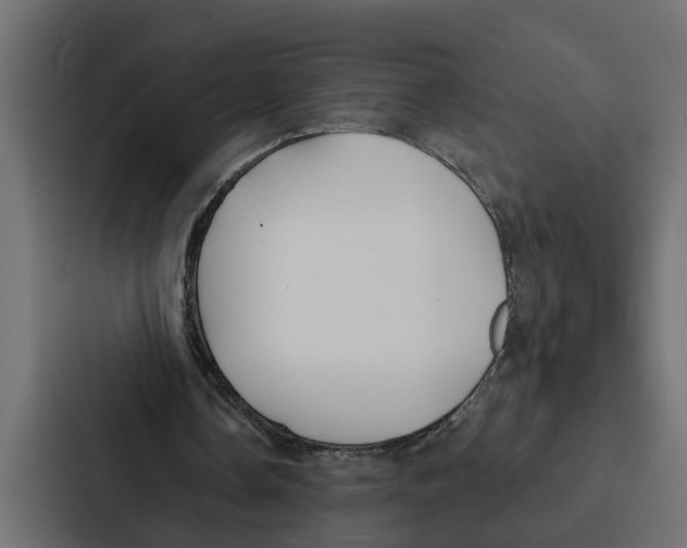 X0000087040338200705160935