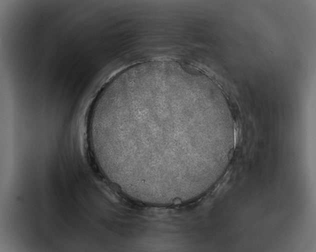 X0000087040339200705160935