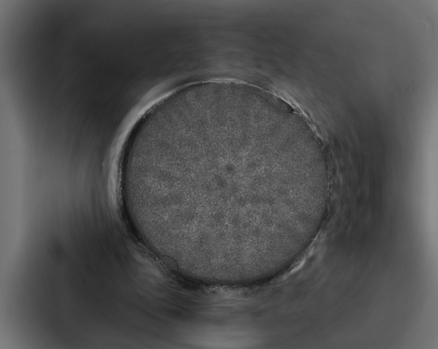 X0000087040343200705160935