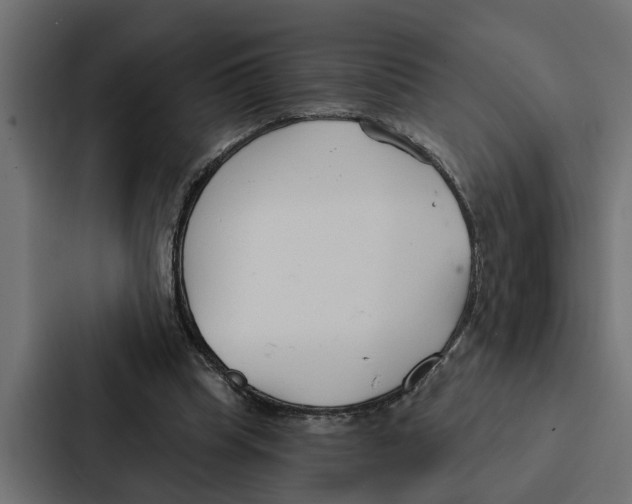 X0000087040345200705160935