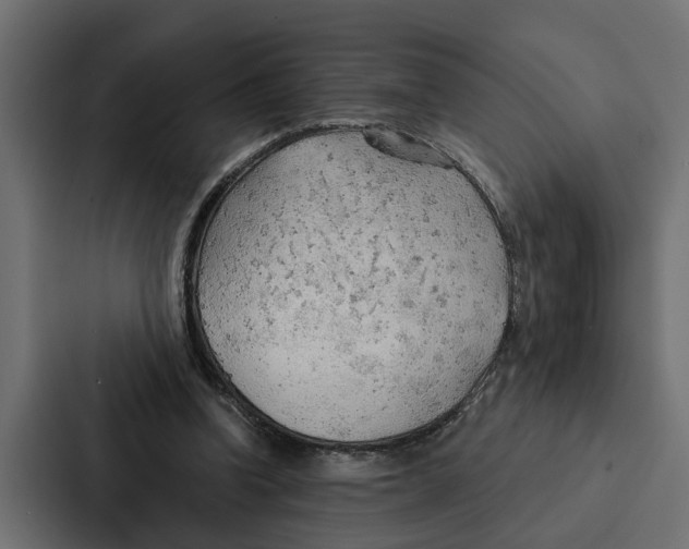 X0000087040346200705160935