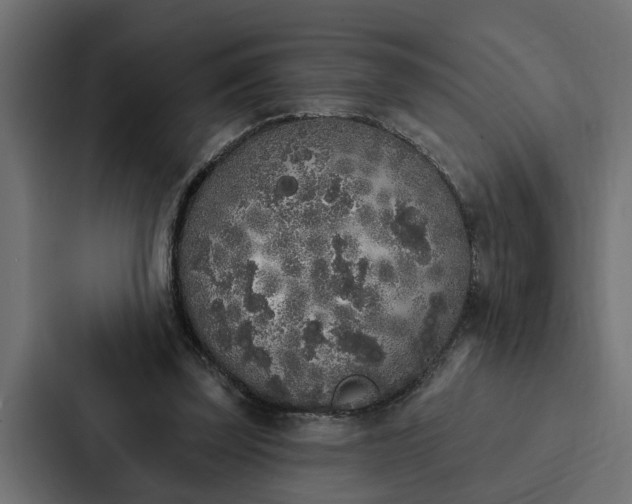 X0000087040347200705160935