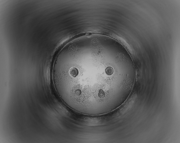 X0000087040349200705160935