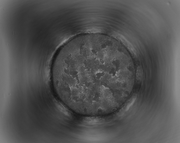 X0000087040351200705160935