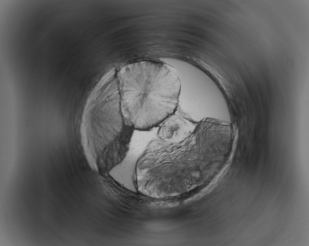 X0000087040353200705160935