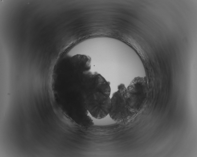 X0000087040354200705160935