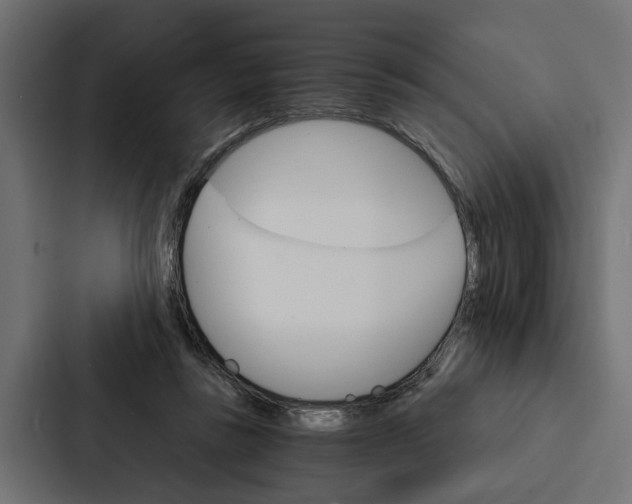 X0000087040355200705160935