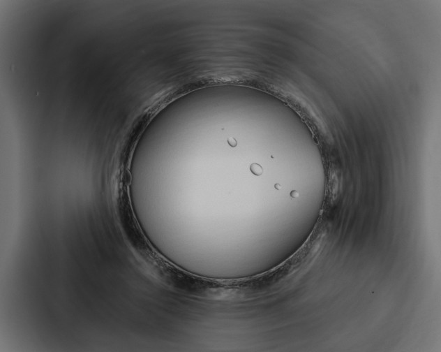 X0000087040356200705160935