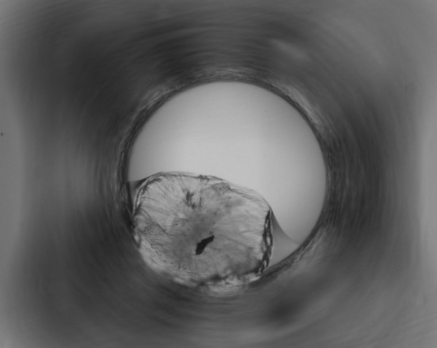 X0000087040357200705160935