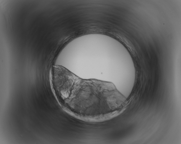 X0000087040361200705160935