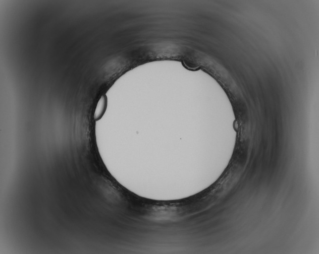 X0000087040362200705160935