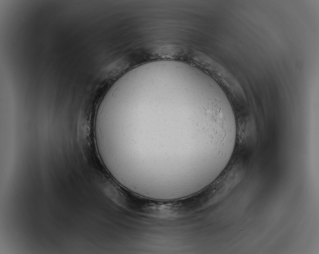 X0000087040365200705160935