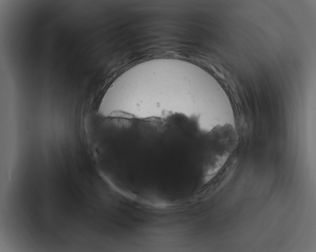 X0000087040375200705160935