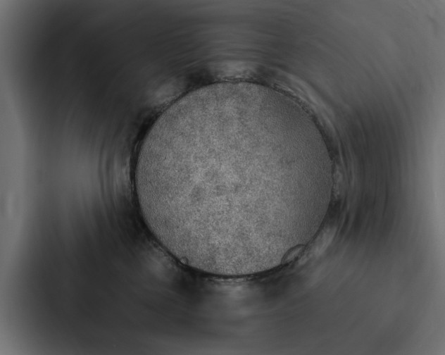 X0000087040377200705160935