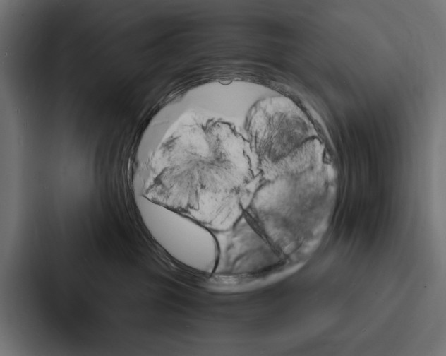 X0000087040381200705160935