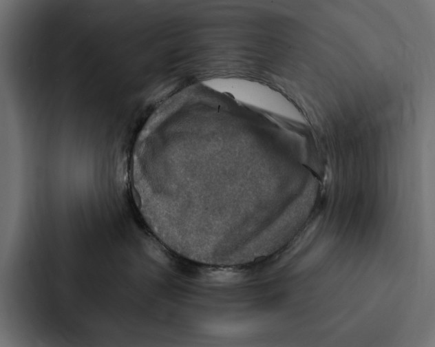 X0000087040383200705160935