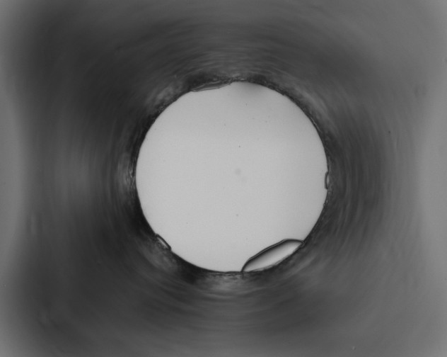 X0000087040384200705160935