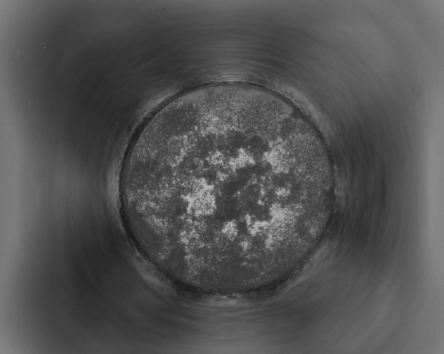 X0000087040386200705160935