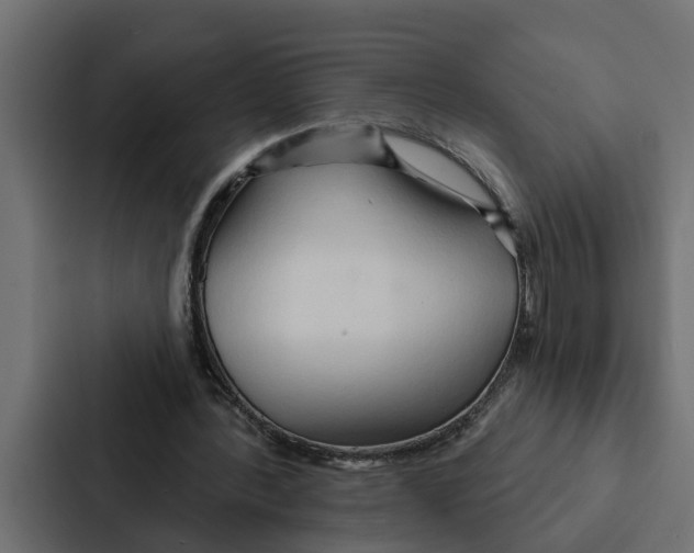 X0000087040388200705160935