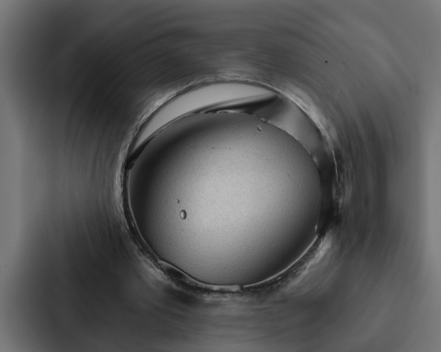 X0000087040389200705160935