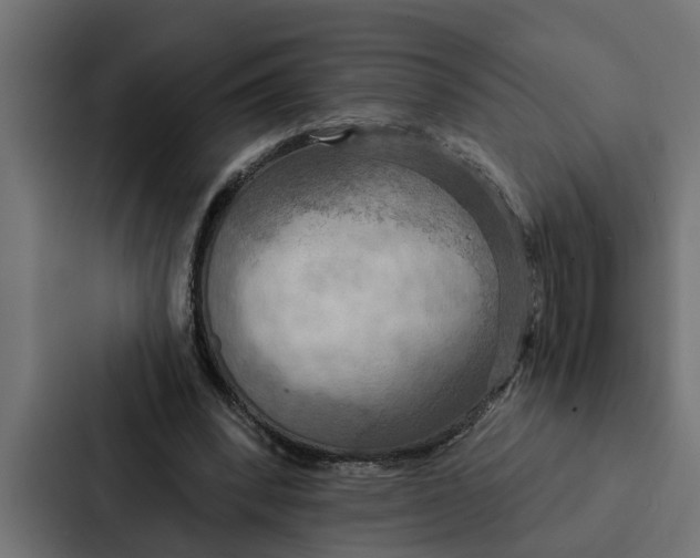 X0000087040392200705160935