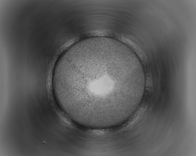 X0000087040394200705160935