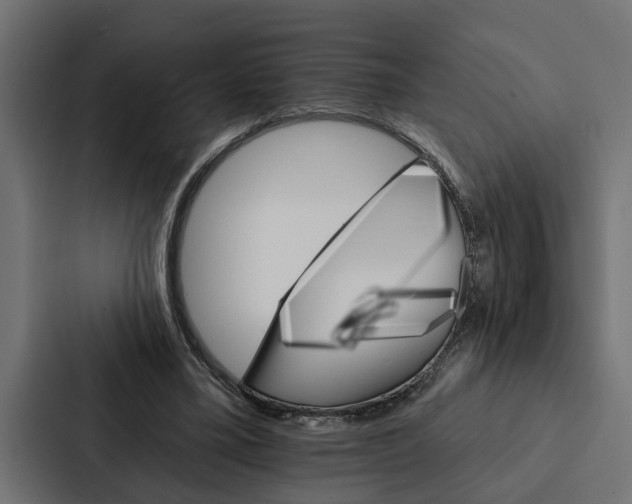 X0000087040395200705160935