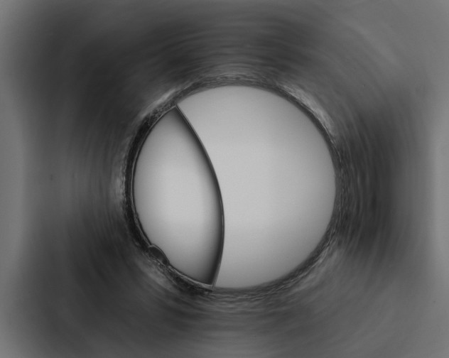 X0000087040399200705160934