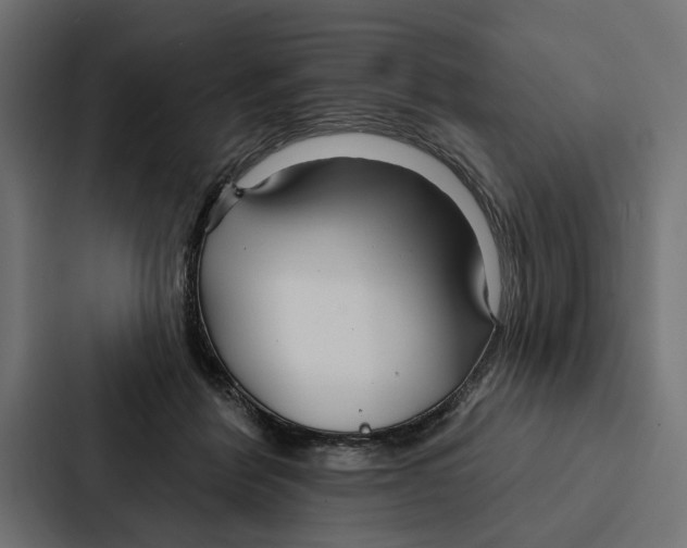 X0000087040412200705160934