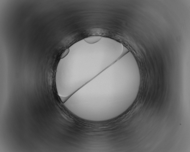 X0000087040413200705160934