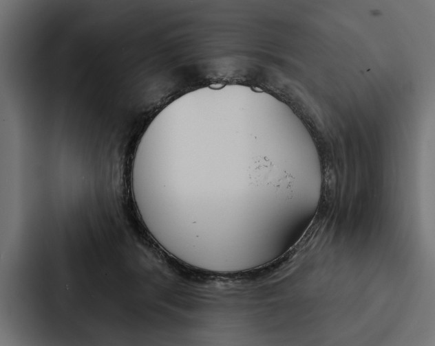 X0000087040416200705160934