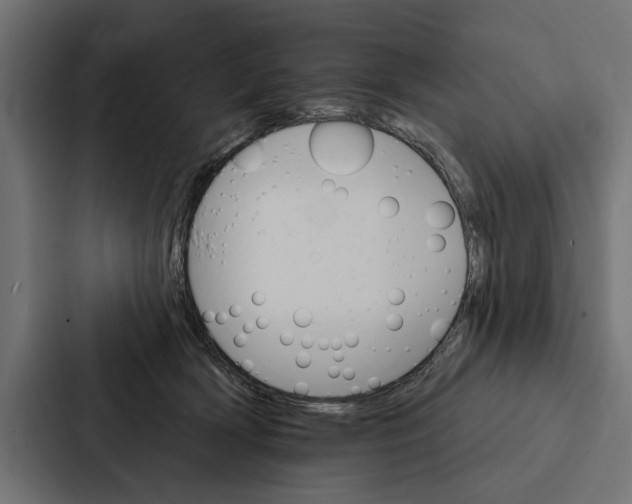 X0000087040418200705160934