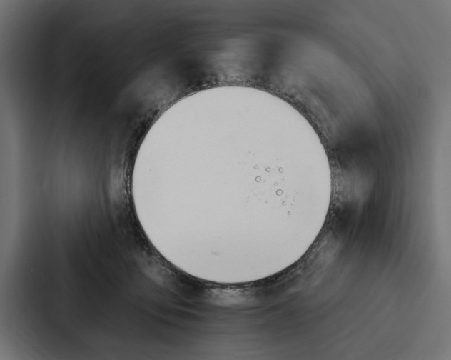 X0000087040419200705160934