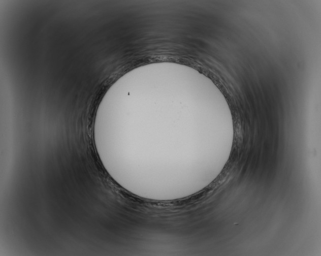 X0000087040420200705160934