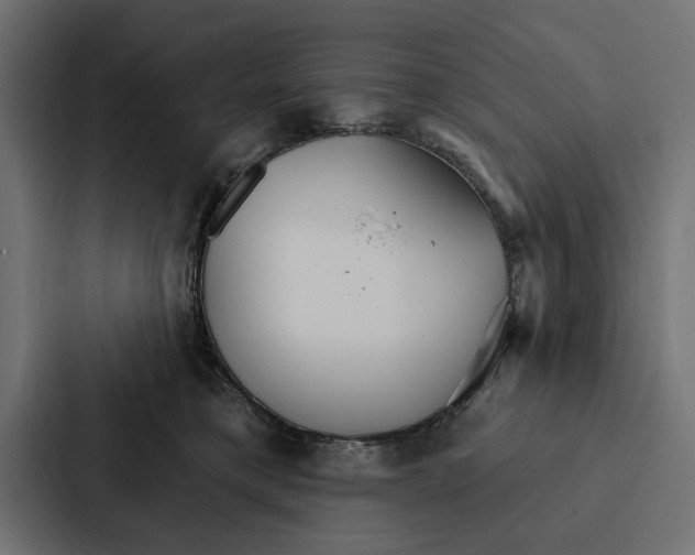 X0000087040421200705160934