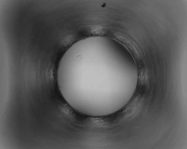 X0000087040424200705160934