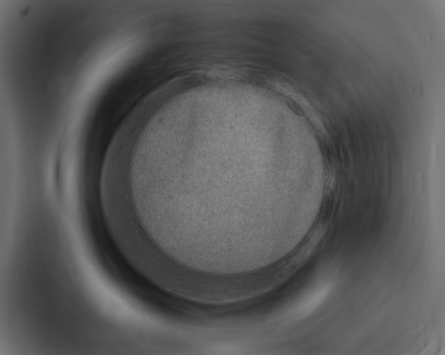 X0000087040431200705160934