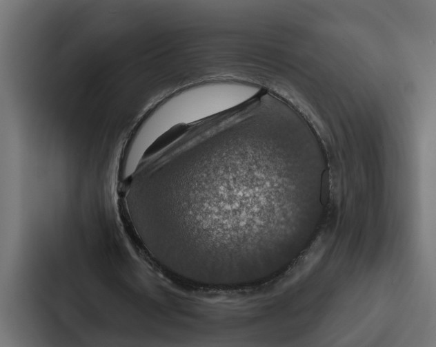 X0000087040434200705160933