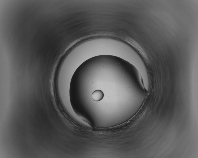 X0000087040436200705160933