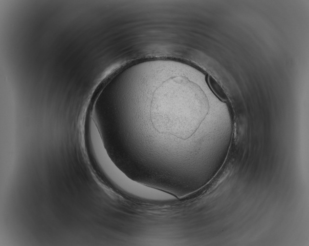 X0000087040438200705160933