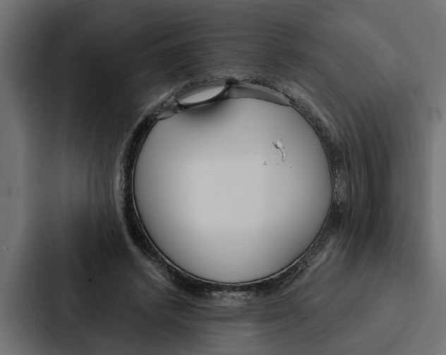 X0000087040448200705160934