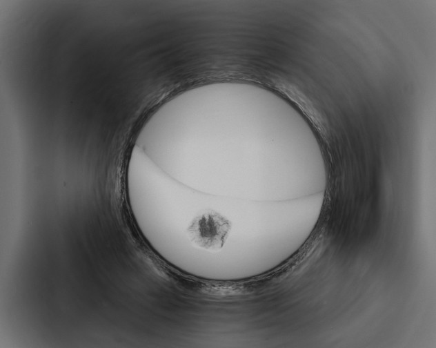 X0000087040449200705160934