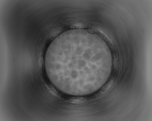 X0000087040459200705160934